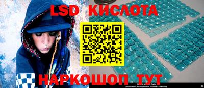 гидра Новодвинск