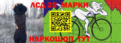 индика Новозыбков