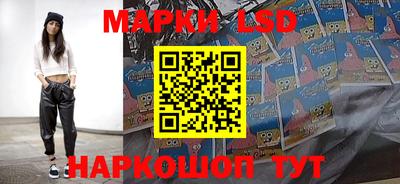 гидра Новодвинск