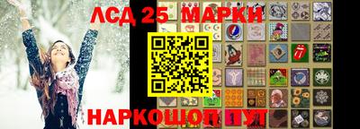 индика Новозыбков