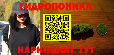 гидра Новодвинск