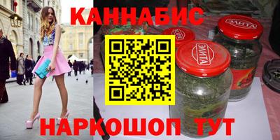 индика Новозыбков