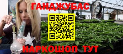 гидра Новодвинск