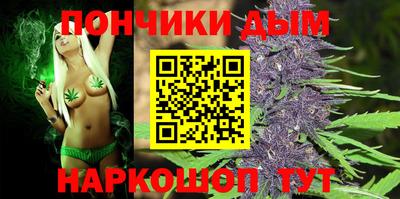 индика Новозыбков