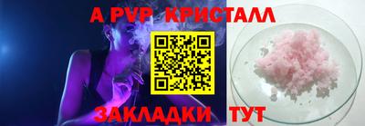 индика Новозыбков