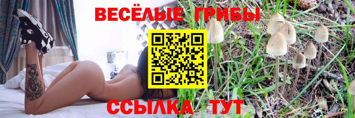 Галлюциногенные грибы прущие грибы  Вход с VPN  Уварово 